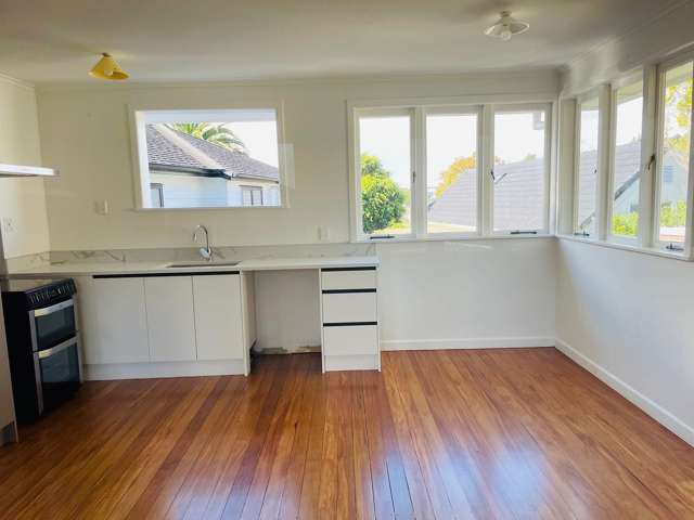 3 Marion Avenue Mount Roskill_3