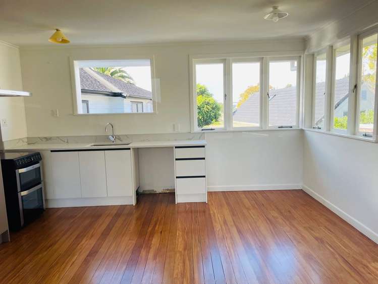 3 Marion Avenue Mount Roskill_3