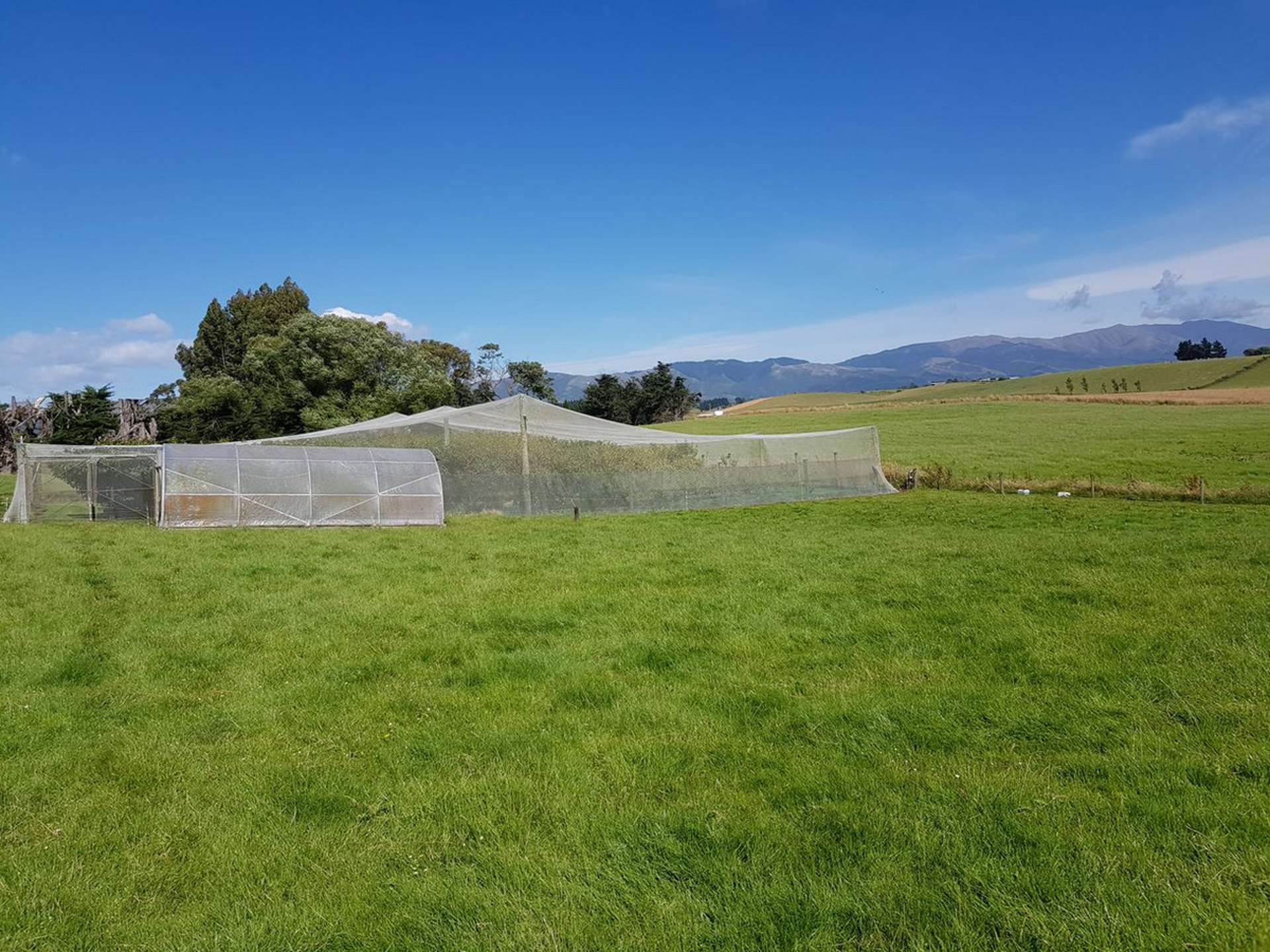 427 Timaru Road Waimate_0