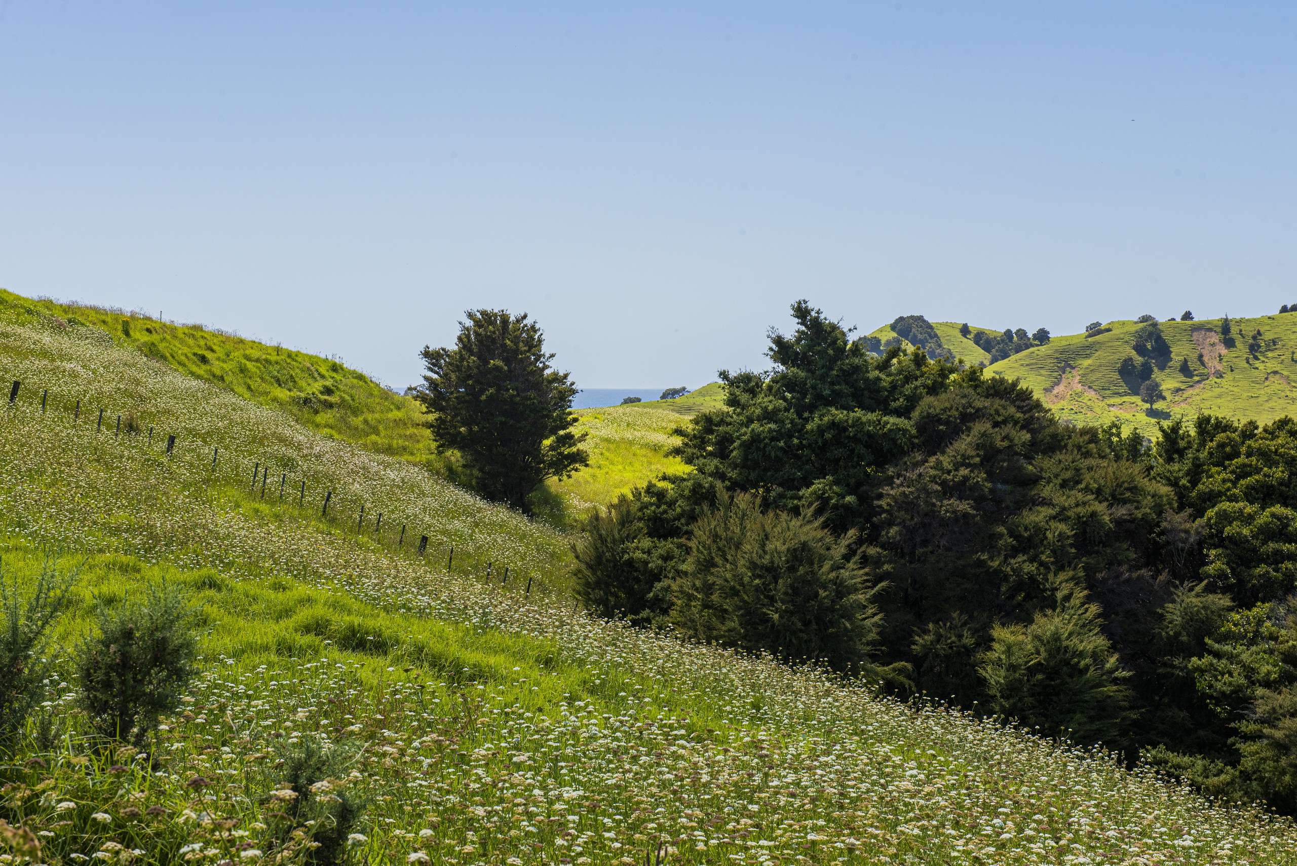 Hailes Road Whananaki Whangārei Houses for Sale One Roof