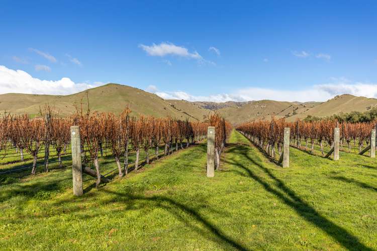 272 Paynters Road Fairhall_17