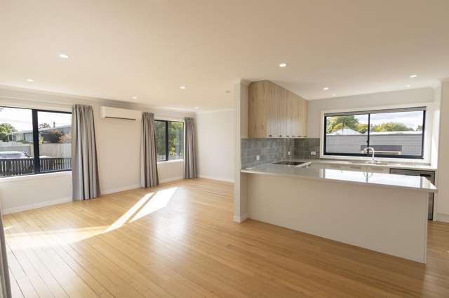 62 Thompson Street 11373_2