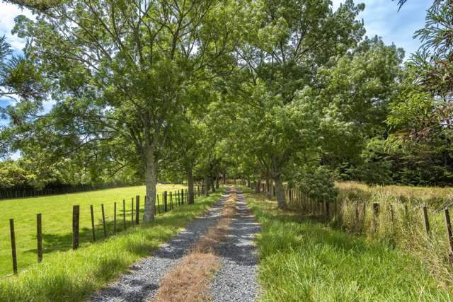 106 Rue Jolie Akaroa_3