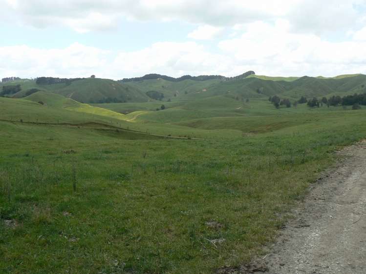 1048 Matira Road Glen Murray_3