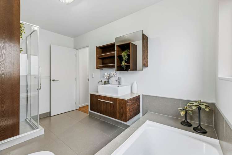 31 Agapanthus Place Flat Bush_13