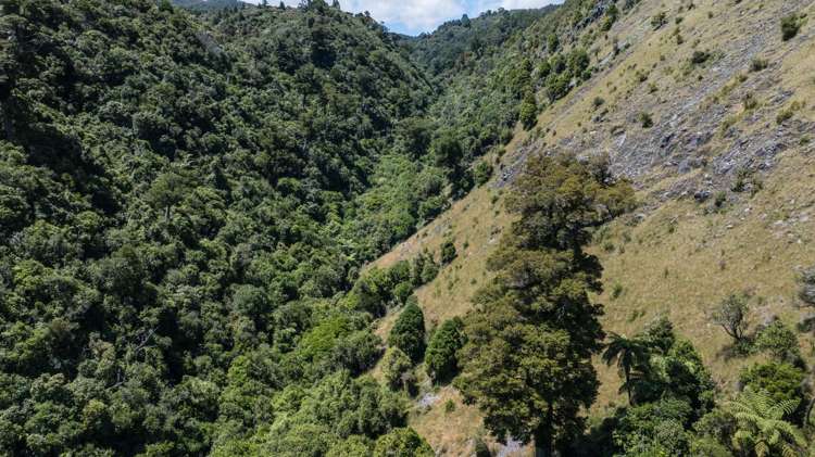 Lot 1 Rameka Creek Road Takaka_17