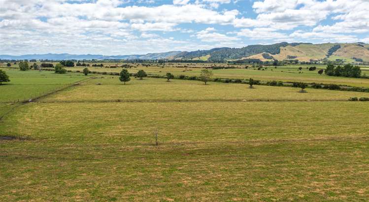 160 Endowment Road Te Aroha_22