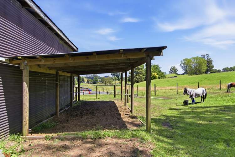 Lot Lot 2/71 Link Road Wairakei_5