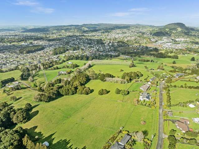 Waitaua Road Kauri_3