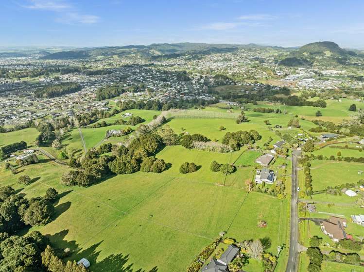 Waitaua Road Kauri_3