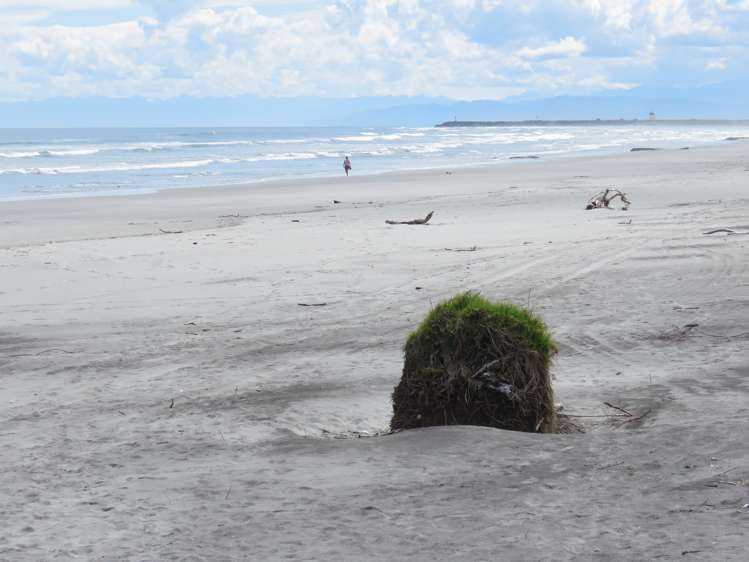 11 Elley Drive Carters Beach_14