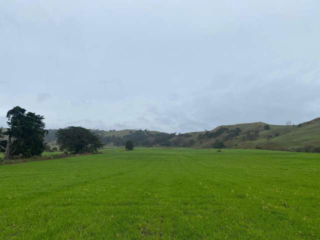 69 Kelly Road Waerenga_3