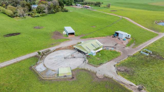 Much Anticipated Dairy Farm