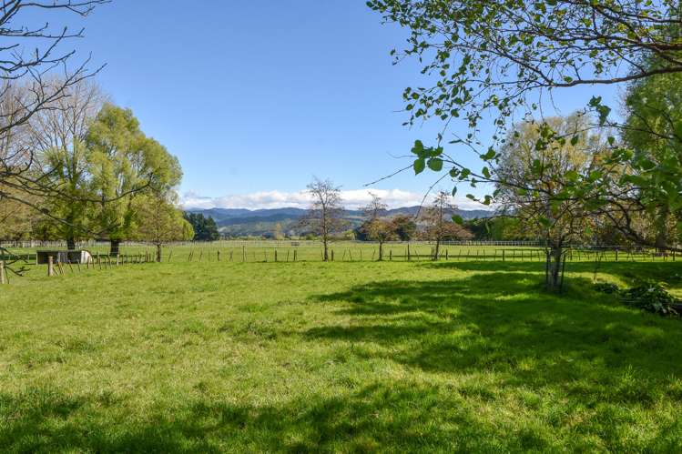 60 Lincoln Road Carterton_13