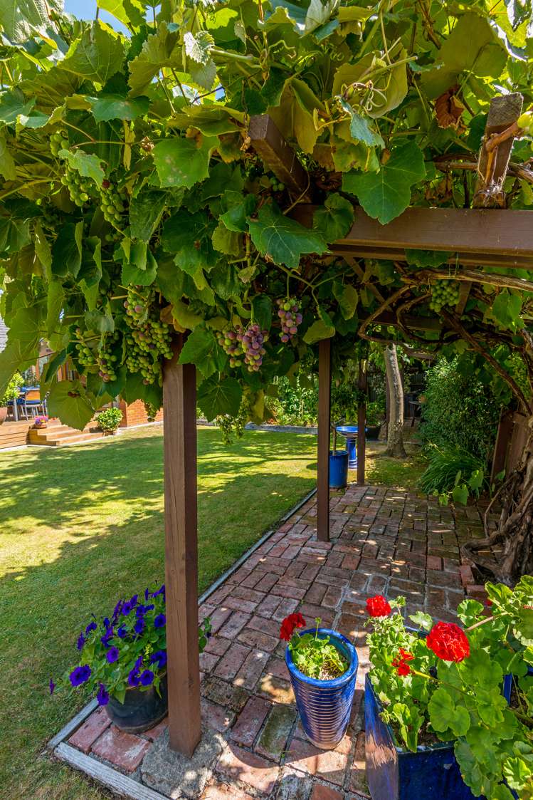 7 Saint Johns Avenue Palmerston North Central_21