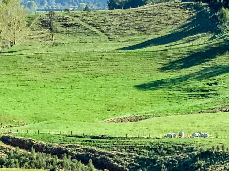 114 Aorangi Road Paeroa_6