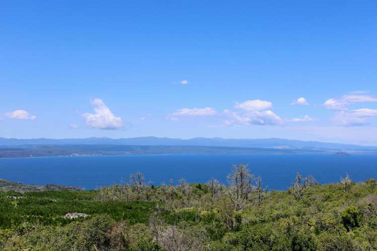 6 Grandview Lane Acacia Bay_14