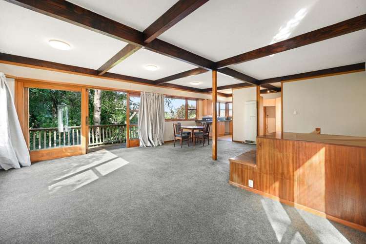 113 Ellicott Road 1112_4