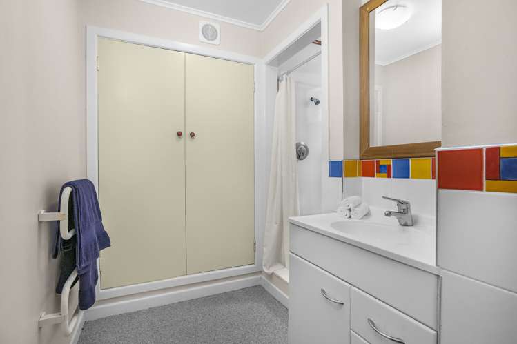 87 Mills Road Brooklyn_18