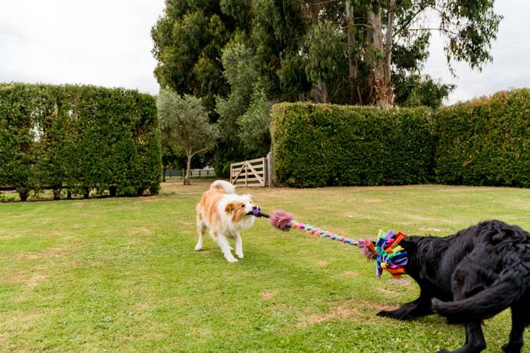 524 Allanton Road Outram_34