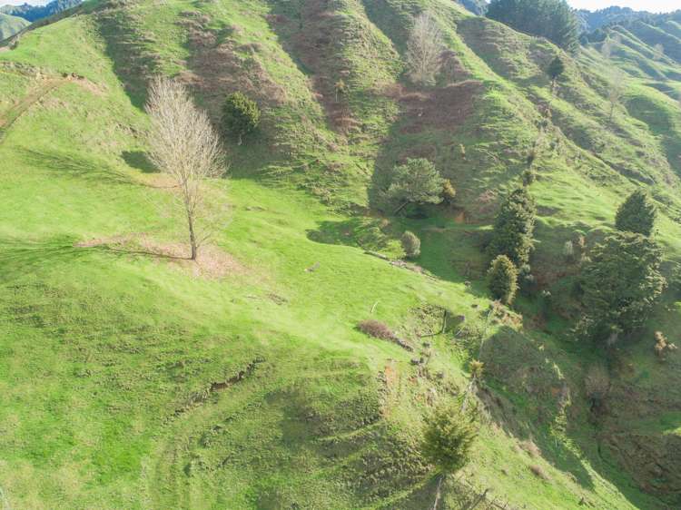 5298 State Highway 4 Waimiha-Ongarue_14