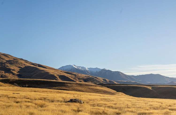 56 Lee Avenue Cardrona_4
