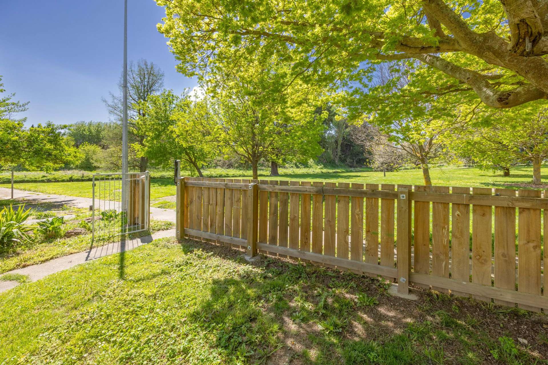 9 Panckhurst Street Havelock North_0