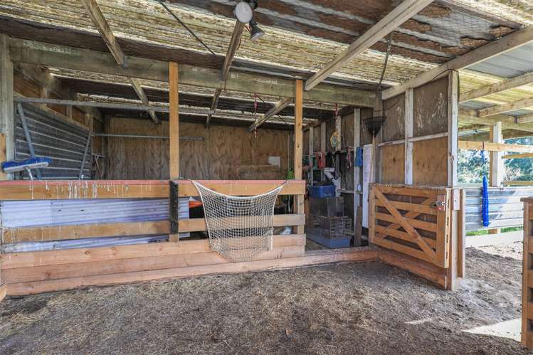 689 Glen Murray Road Rangiriri_21