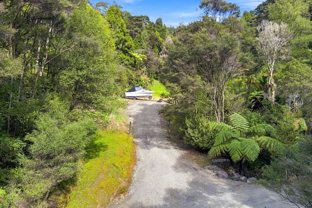 State High Way 1Dome Forest Warkworth_2