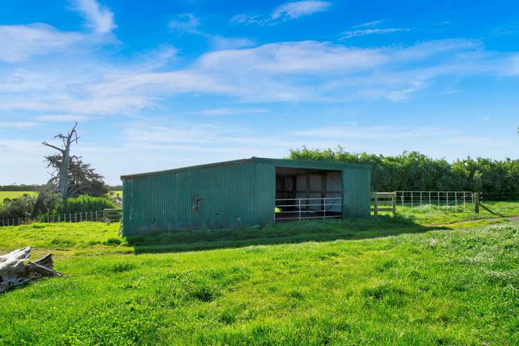 2585 South Road Otakeho_12