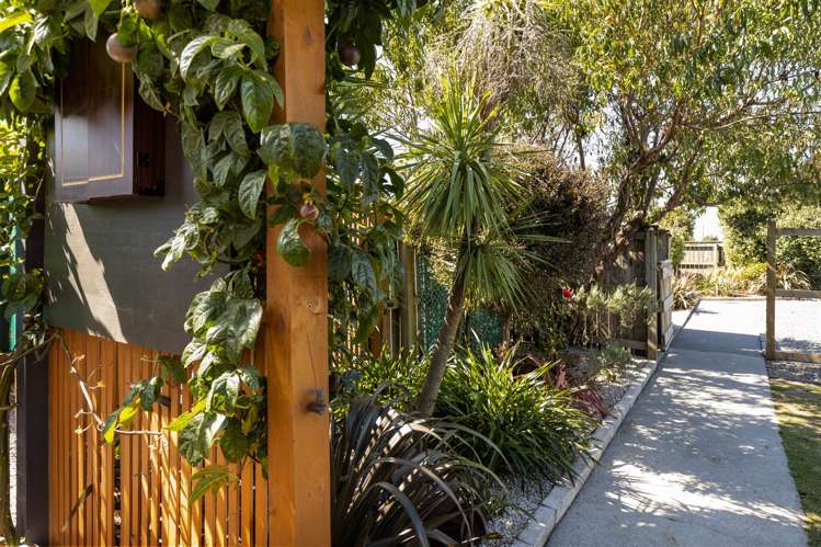 43 Inkerman Street Renwick_12