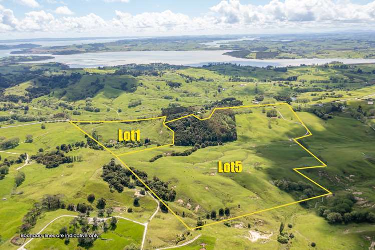 Lot 1/& Lot 5 Wharehine Road Wellsford_9