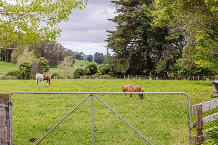 300 Hinemoa Valley Road Pahiatua_18