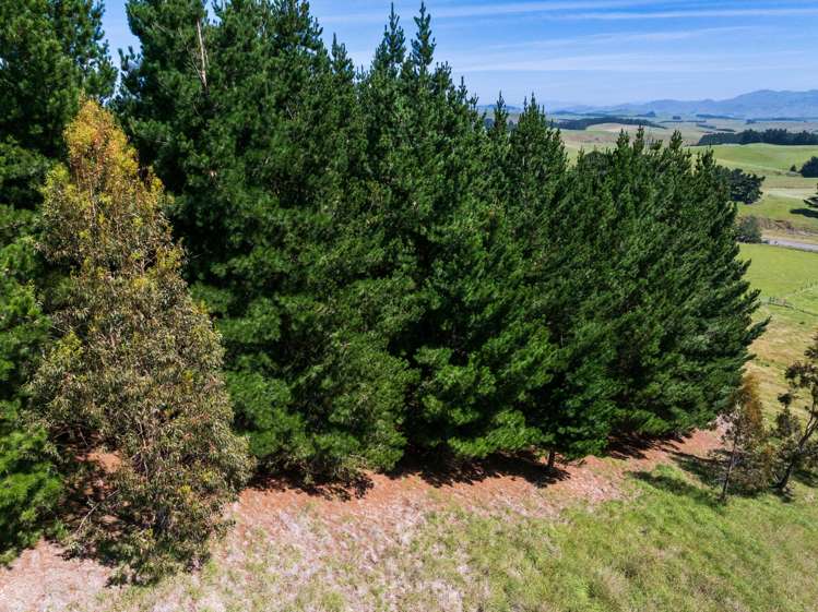 38 Valley Road Greta Valley_13