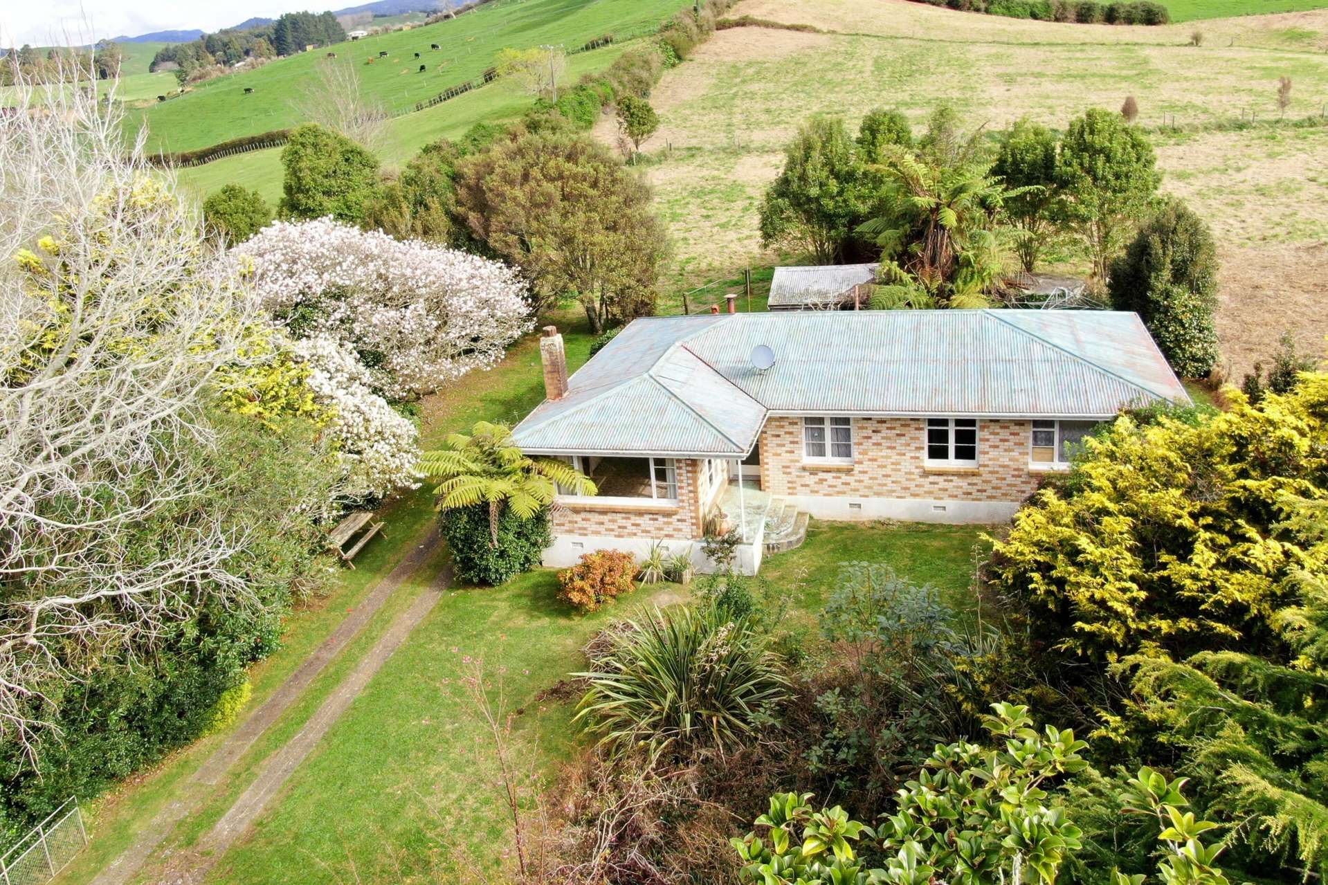 49 Dickey Flat Road Waikino_0