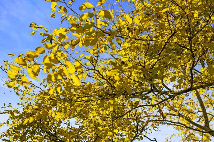 91 Travers Road Te Kauwhata_25