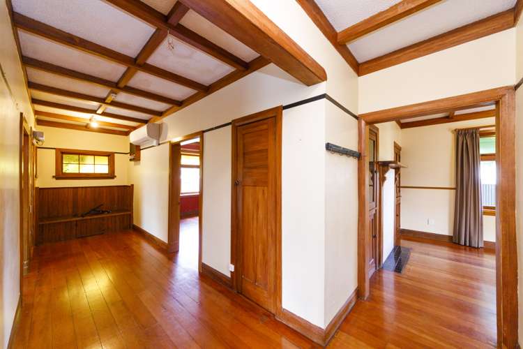 43 Rata Street Roslyn_5