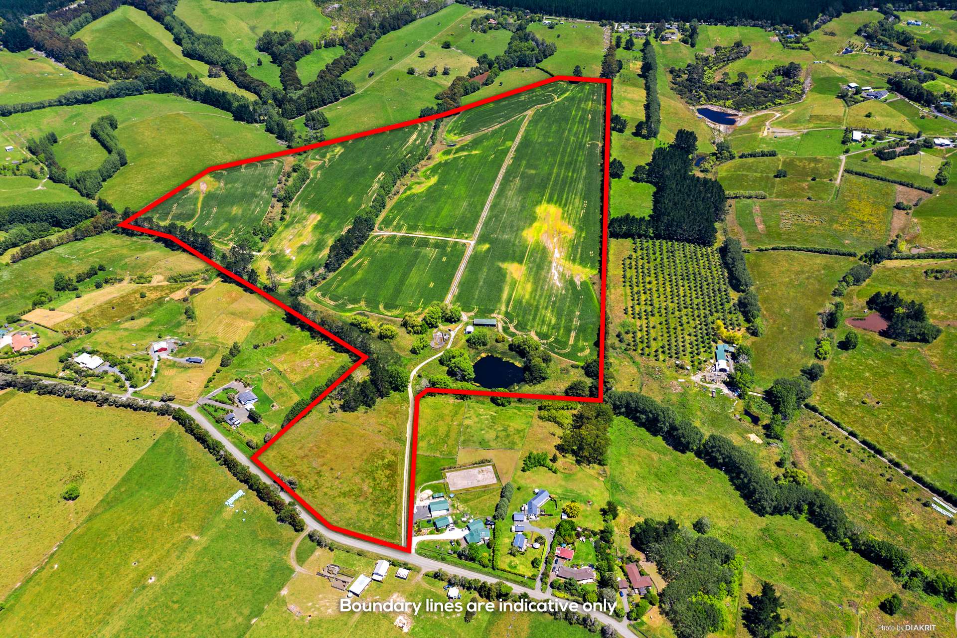 199 Ireland Road Waitoki_0