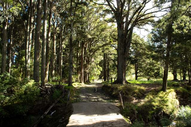 Lot 1-10/260 Waitoki Road Waitoki_3