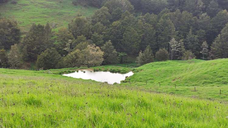 34 Wairere Valley Road Paparoa_5