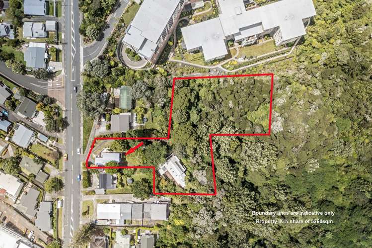 2/22 Rangatira Road Birkenhead_19