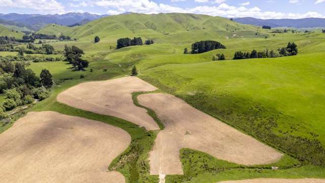268 Mikimiki Road Masterton_2