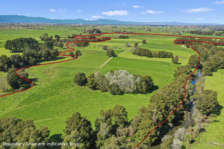 711 Horrell Road Morrinsville_11