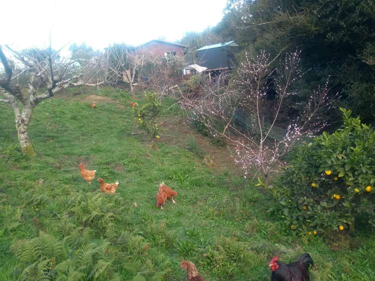 165 Pekanui Road Puketotara_27