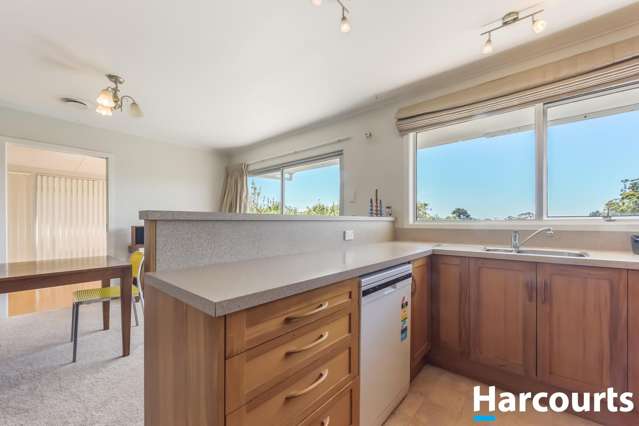 142 Higgs Road Mapua_3