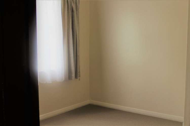 29 Cadman Avenue Greenlane_2