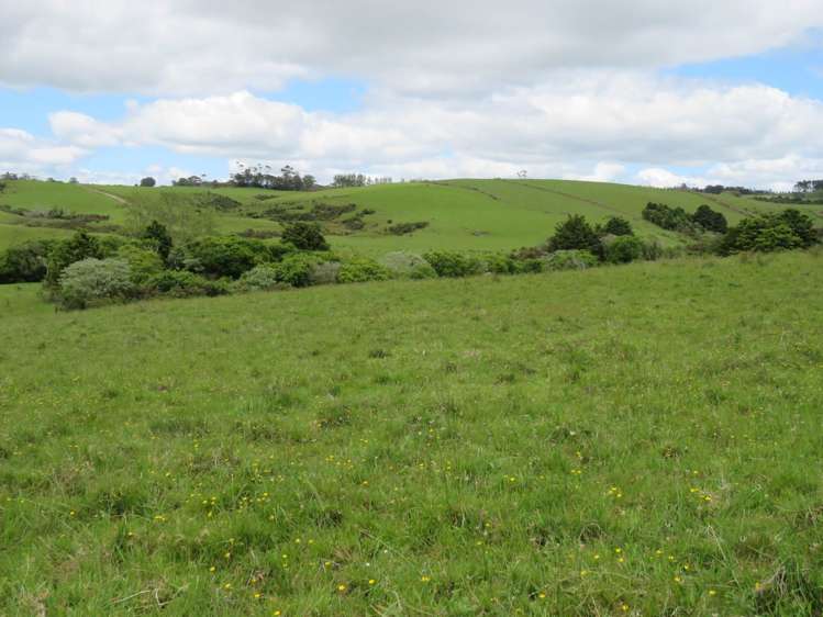 Lot 2 Puketotara Road Okaihau_13