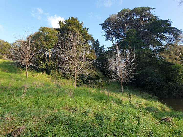 Lot 1/42 Huarau Road Maungaturoto_21