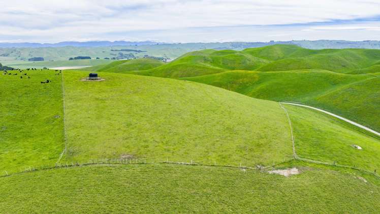 Corner Te Aute Trust Road and Aupaki Road Poukawa_6