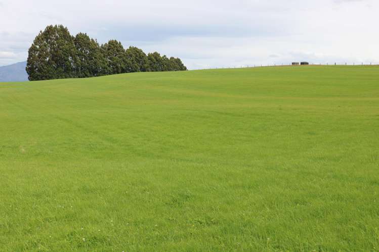 305 Lynwood Road Te Anau_23